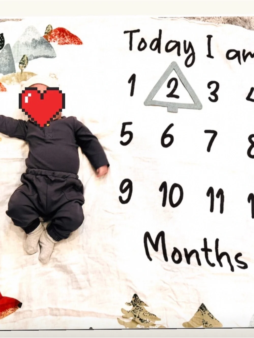 Milestone Baby Blanket - Neutral Forest Months Design